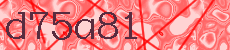 d75a81
